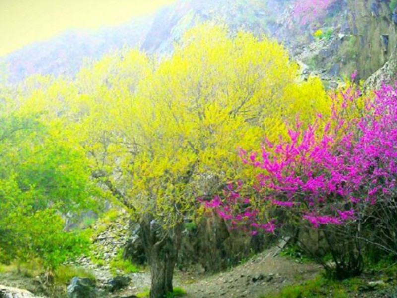جاذبه‌های بی‌نظیر تنگ ارغوان ایلام