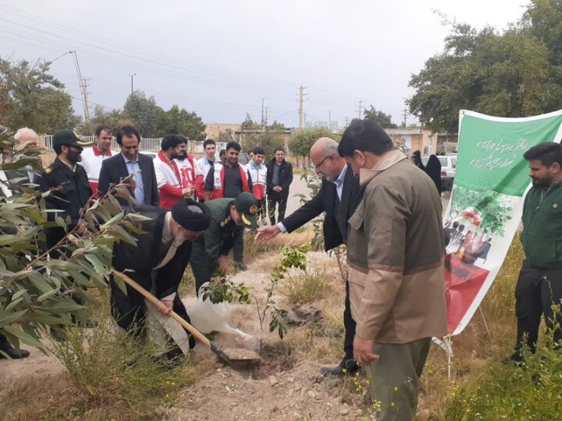 کاشت ۱۱۲ نهال، به یاد امدادگران شهید در دهلران