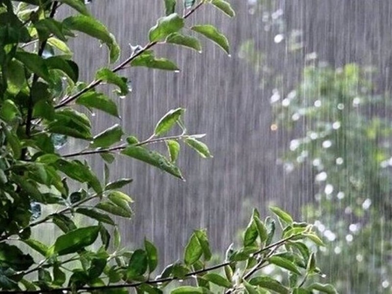 ادامه بارش‌های بهاری در ایلام