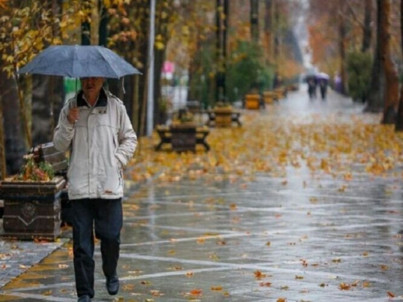 بارش باران در مناطق مختلف ایلام آغاز شد