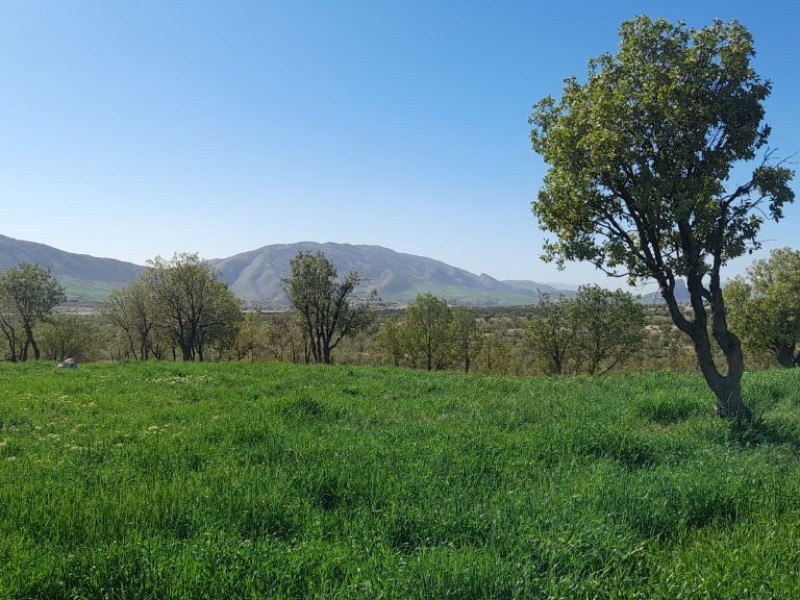 طبیعت زیبای استان ایلام