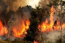 کاهش چشمگیر حریق در جنگل ها و مراتع استان ایلام