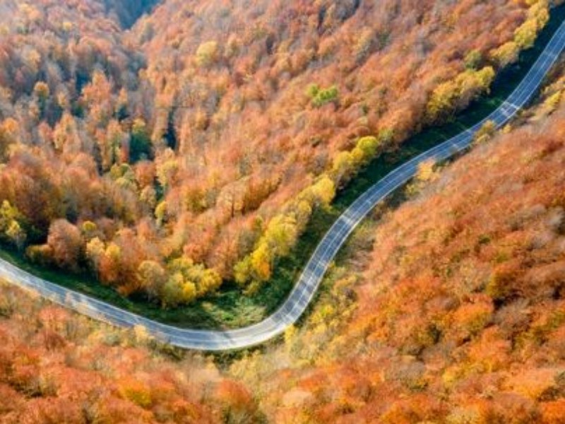 سمفونی رنگ ها در پاییز