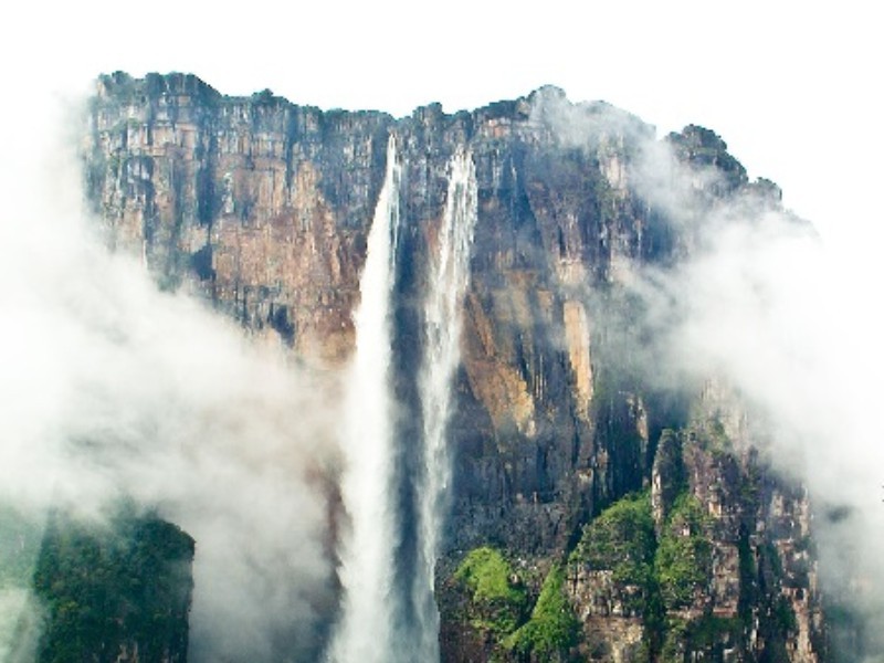 تصاوير/ کشف دنیای گمشده در کوه رورایما