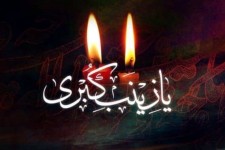 زینب (س)، میدان دار رسوایی یزید و یزیدیان دورانها