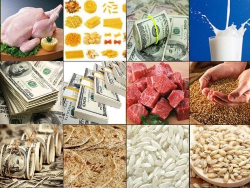 تخصیص ارز ترجیحی زمینه های فساد را به وجود می آورد؛ یارانه مستقیم به نفع اقشار محروم است