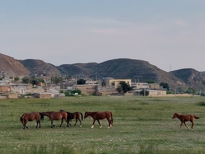 طبیعت بهاری روستای بیشه دراز
