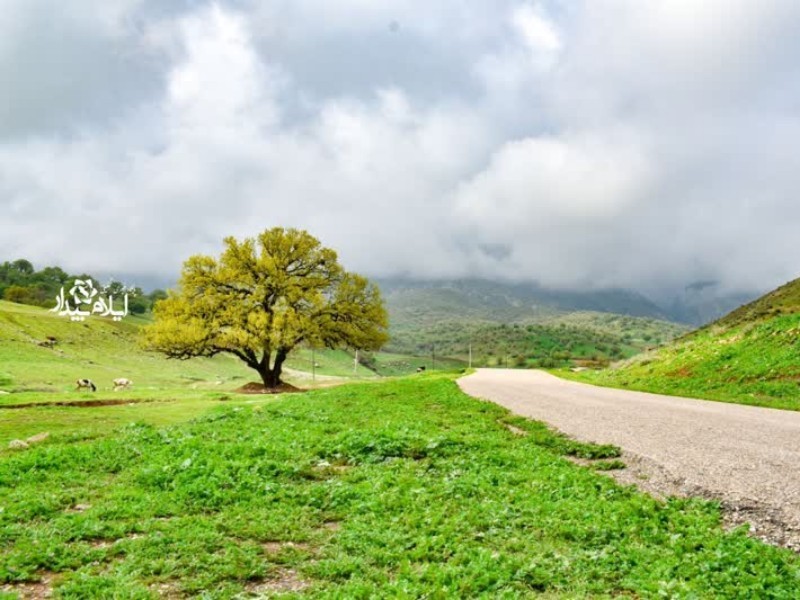 طبیعت زیبا و چشم نواز شهرستان سیروان