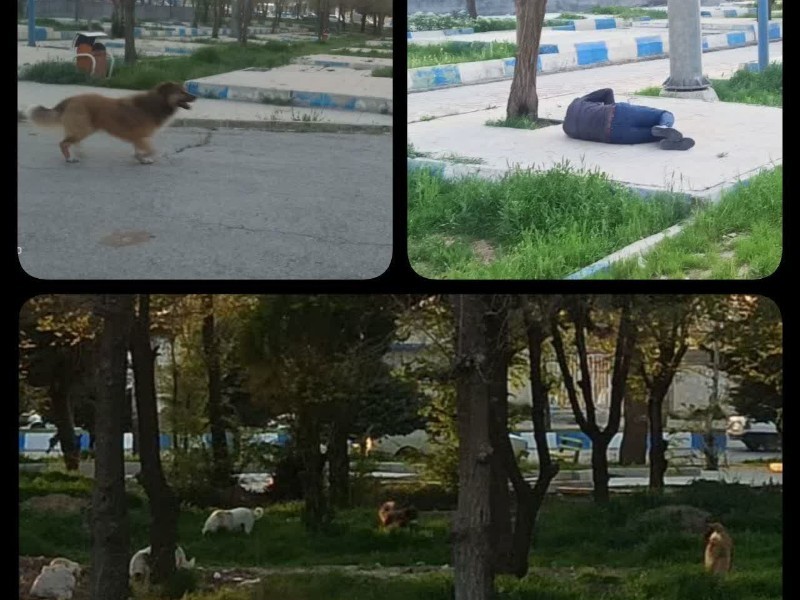 پارک‌های ایلام مناسب خانواده‌ها نیست