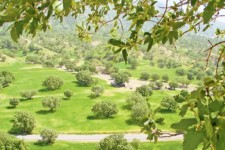 احیا جنگل‌ها رسالت مهم همگانی؛ وقتی برای جنگل‌کاری به فرهنگ‌سازی نیاز است