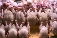 قیمت مرغ به سبد تورمی خانوار اضافه شده است