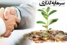 زیست‌بوم سرمایه‌گذاری در ایلام اجرا می‌شود