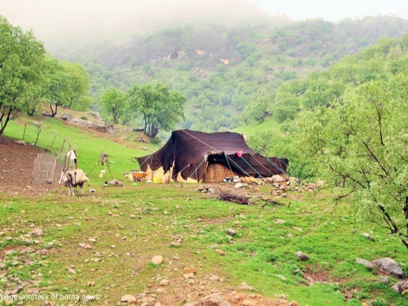 عشایر عامل اصلی رشد تولید نیازمند حمایت مسئولانه