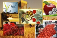 صنایع تبدیلی و ظرفیت‌های محقق نشده در ایلام