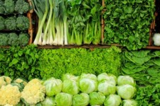 چگونه در منزل سبزی بکاریم؟