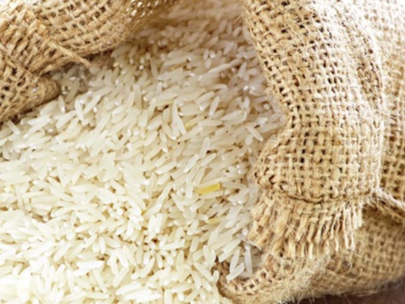 برنج مازاد شالیکاران خریداری می‌شود