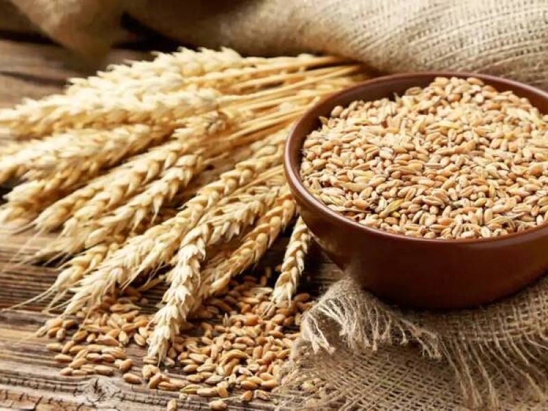 قیمت خرید تضمینی گندم تعیین شد