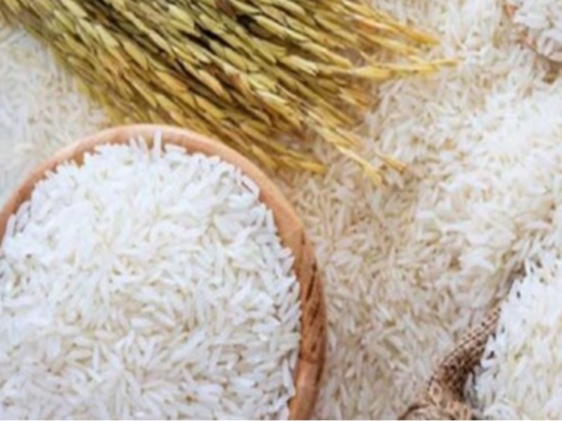 مهلت یک‌هفته‌ای برای اصلاح درخواست تخصیص ارز کالای برنج