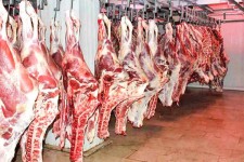 ضرورت ساماندهی بازار گوشت قرمز در ایلام