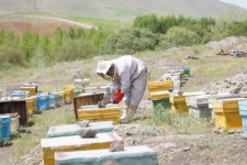 اشتغال مهم‌ترین نیاز خانواده‌های مددجوی استان ایلام است