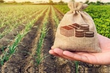 اختصاص ۲۴۰ میلیارد ریال امهال تسهیلات به خسارت دیدگان بخش کشاورزی در ایلام