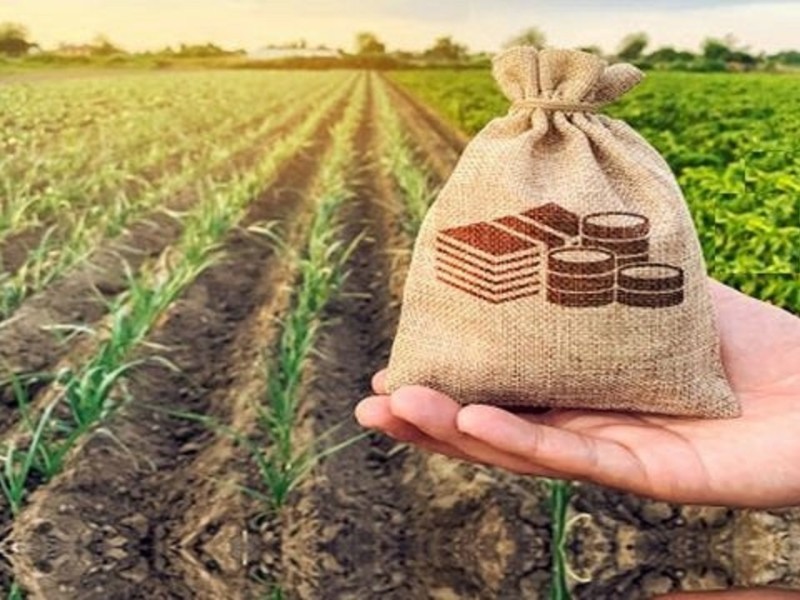 اختصاص ۲۴۰ میلیارد ریال امهال تسهیلات به خسارت دیدگان بخش کشاورزی در ایلام