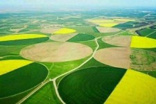 روایتی از تولید در روستای «آب انار» آبدانان