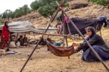 2 هزار خانواده عشایری مهمان مناطق مختلف ایلام هستند