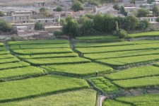 ۸۰۰ فقره پلاک ثبتی در ایلام تغییر کاربری یافت