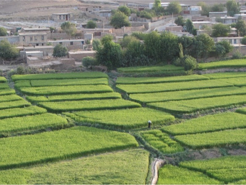 ۸۰۰ فقره پلاک ثبتی در ایلام تغییر کاربری یافت
