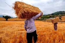 موضوع امهال تسهیلات کشاورزی و دامداری مغفول مانده است