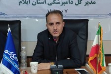 ۱۱ هزار قطعه ماهی زینتی از مرز مهران به عراق صادر شد