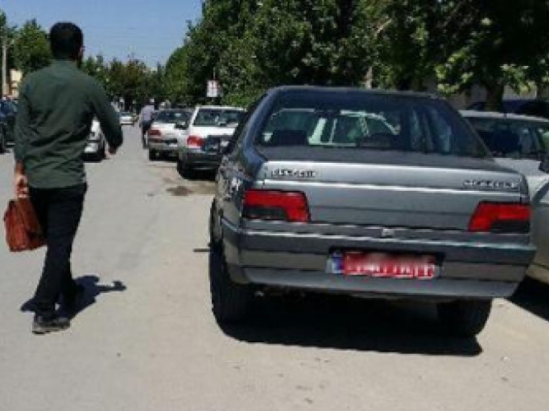 وقتی پلاک‌قرمزها در خدمت خانواده هستند