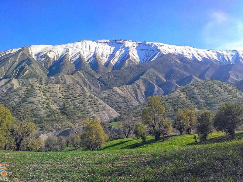 طبیعت بکر و زیبای کبیر‌کوه در یک روز برفی