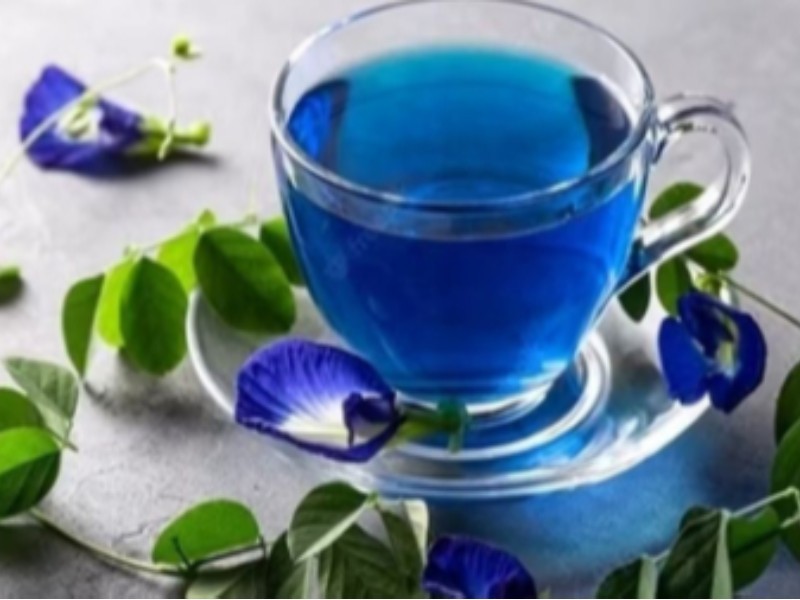 چای آبی؛ نوشیدنی خوشمزه با خواص درمانی