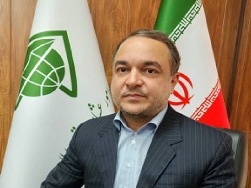 توزیع ۱۳ هزار تن نهاده دامی و آرد بین عشایر ایلام