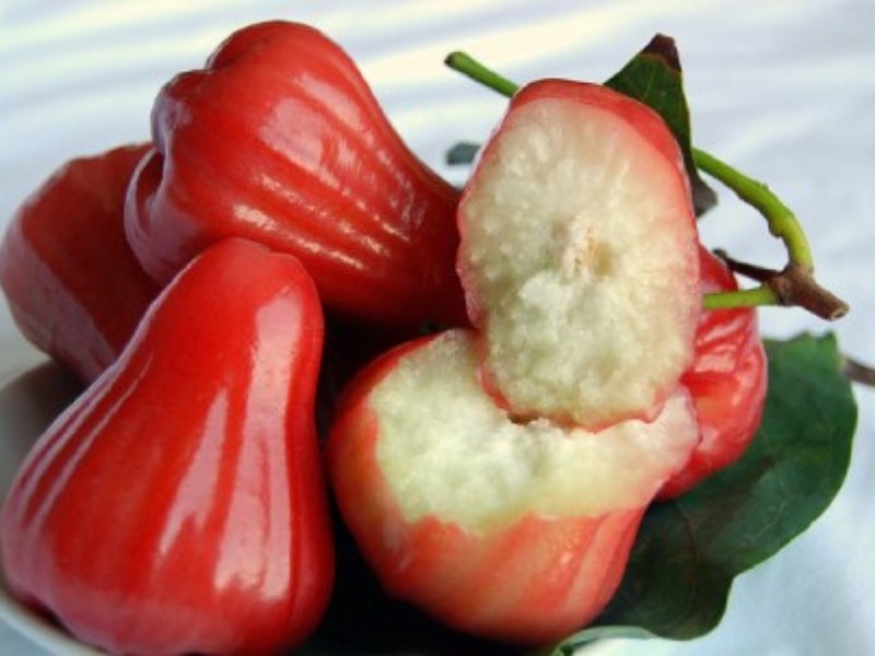 ۱۱ خواص سیب گلی میوه‌ای استوایی برای سلامتی