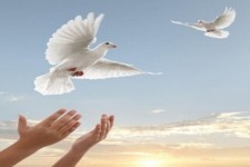 آزادی ۲۰ زندانی ایلامی توسط خواننده سرشناس