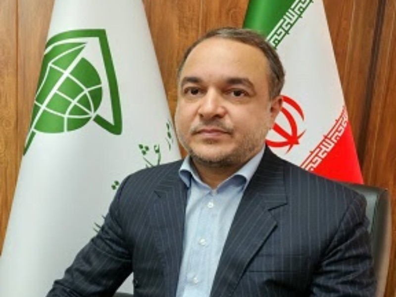 ۱۰ درصد پشم عشایر کشور در ایلام تولید می‌شود