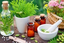 گیاهی برای درمان بیماری‌های قلبی در ایلام