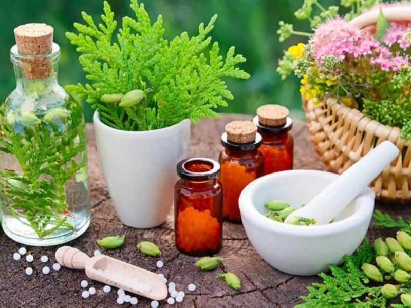 گیاهی برای درمان بیماری‌های قلبی در ایلام