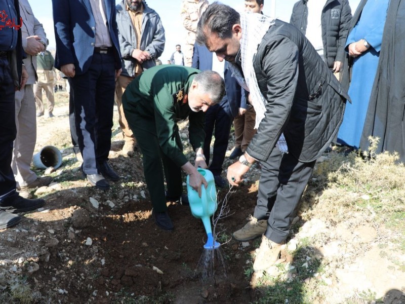 برگزاری آیین درختکاری در ایلام