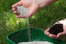 صدور ۸۷ هزار حواله الکترونیکی در ایلام