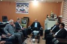 پیش‌بینی برداشت ۱۵ هزار تن کلزا در دهلران