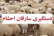 سارقان احشام در سیروان دستگیر شدند