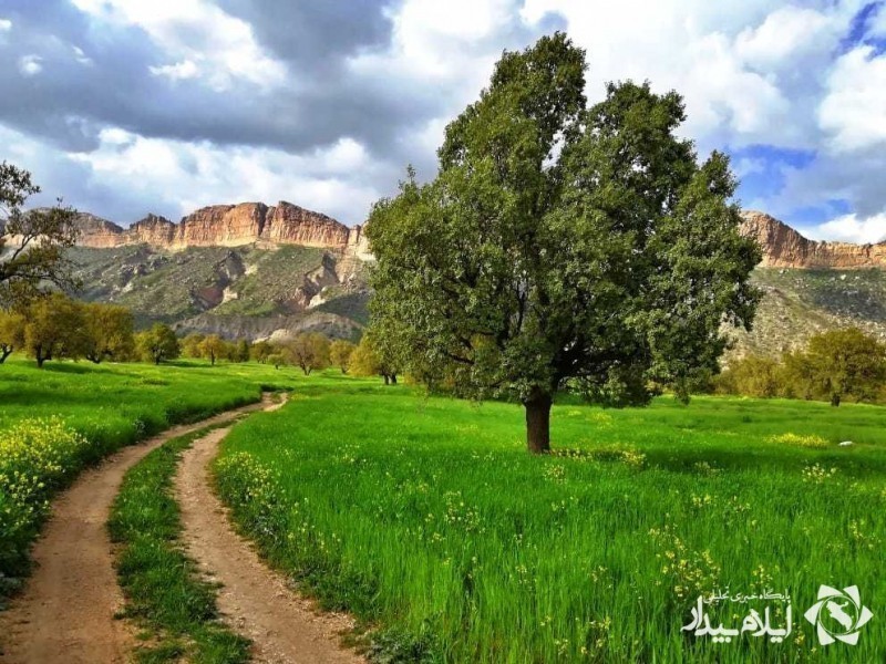 روایتی از طبیعت ایلام