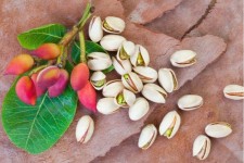 ایلام مستعد توسعه باغات پسته است