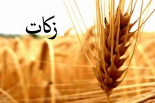  پیش‌بینی جمع‌آوری ۲۰ میلیارد ریال زکات در دهلران