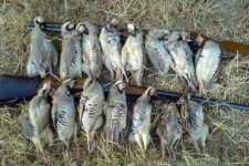 دستگیری شکارچی غیرمجاز در بدره