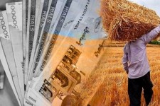 پرداخت ۷۰ درصد مطالبات گندمکاران مهران و دهلران
